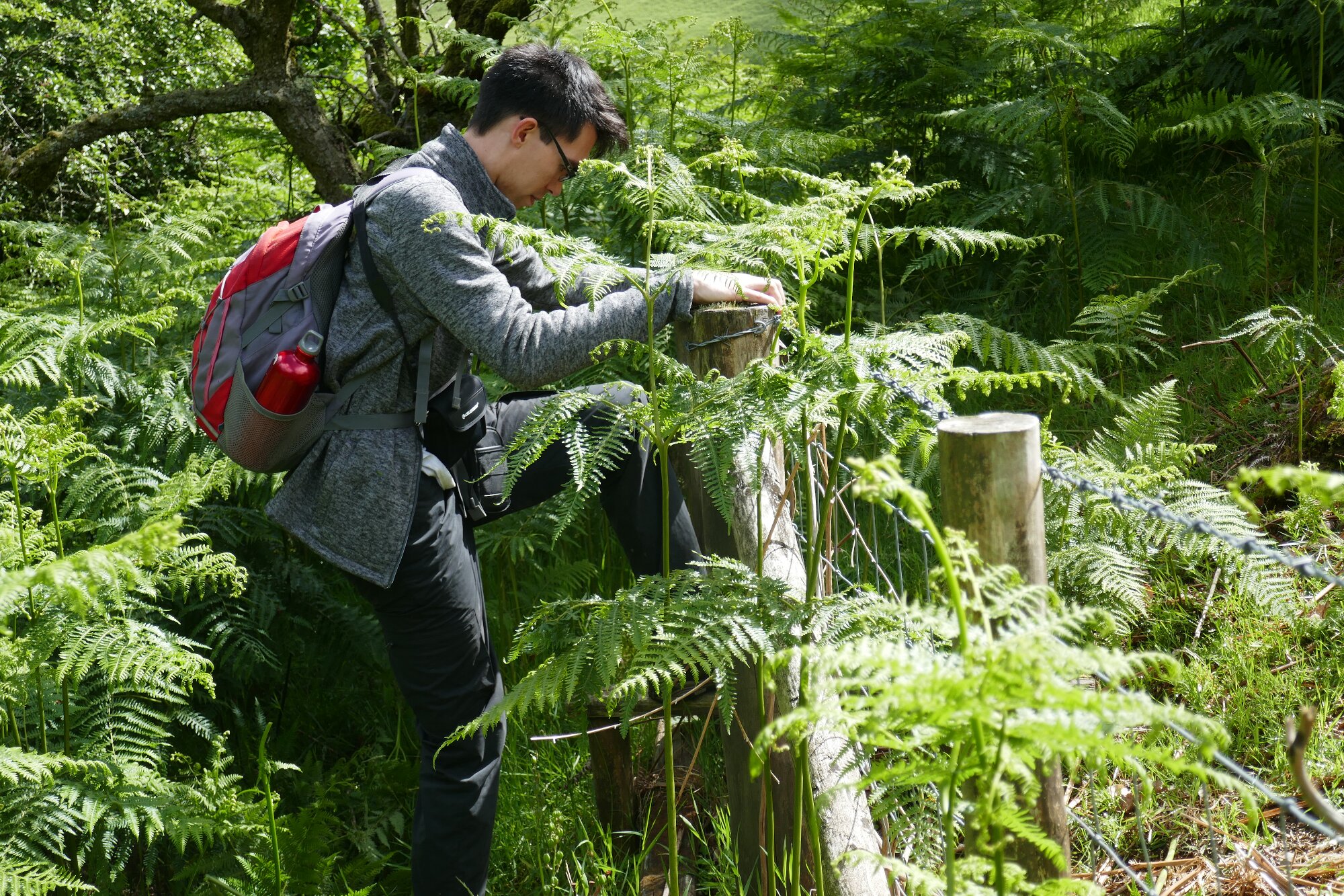 RachelSeabrook.net | Wild Walking | Cwmystwyth | pic10